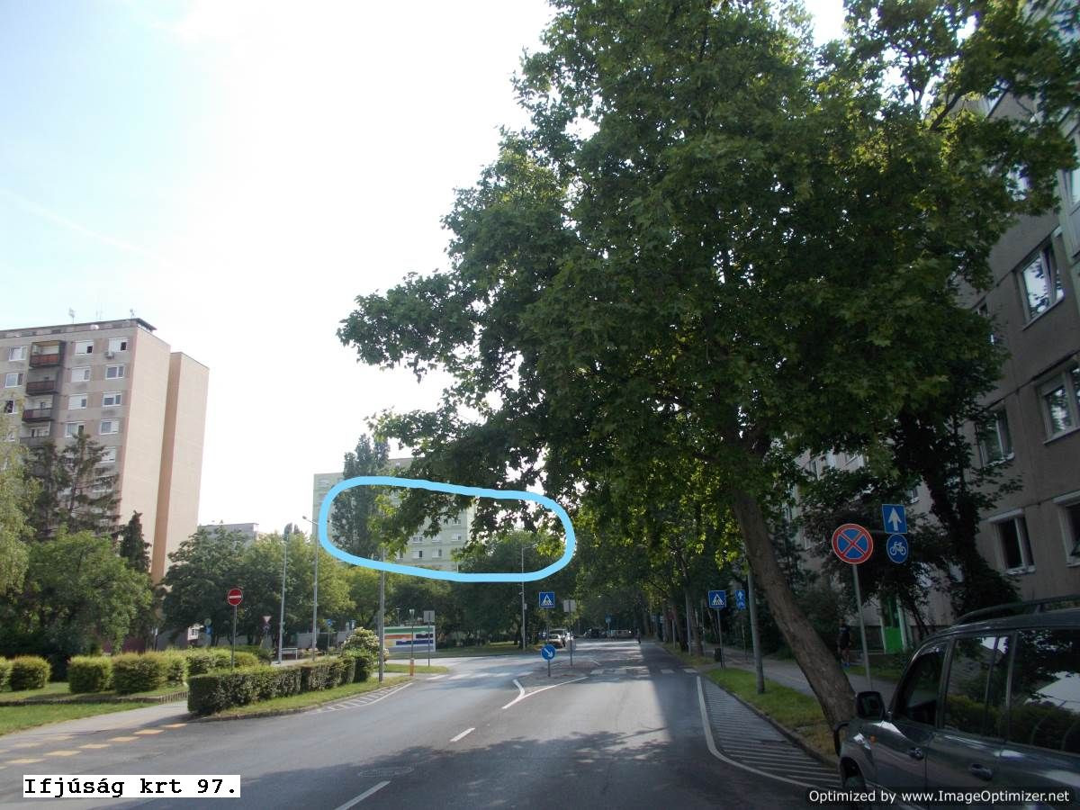 Út főlé belógó faágak, Ifjuság körút 97